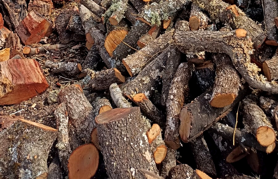 Leña barata en Valladolid